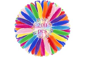 Notoke 200 Stück Bunte Federn, Natürliche Bastelfedern Bunt, Bastelfedern aus Art Design, 10–15 cm lang, für DIY Kunstwerk, Kindergarten, Hochzeiten und Kostümdekorationen