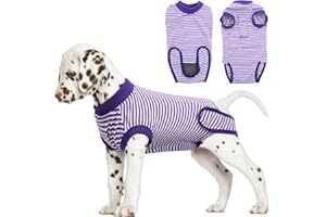 Hjumarayan Hundebody nach OP - Hundebody nach Kastration Rüde Atmungsaktive OP Body Hund Kastration Hündin mit Klett Hunde Body Operation Hündin, Alternative zur lästigen Halskrause, Lila Gestreift