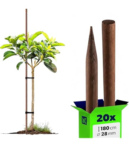 300
