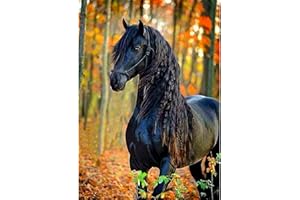 DAERLE 5D Diamond Painting Beau cheval, DIY Broderie Diamant Painting Kit Complet Joli cheval, Peinture Diamant Artisanat Strass Point de Croix Painting pour Adultes, Enfants 30x40 cm