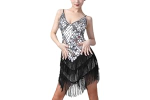 AIEOE Robe de Danse Salsa Latine Strass Paillettes Franges Danse de Salon des Années Robe Gatsby pour Femmes