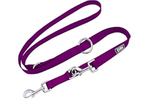 DDOXX Hundeleine Nylon, 3fach verstellbar, 2m | für kleine & große Hunde | Doppel-Leine Zwei Hund Katze Welpe | Schlepp-Leine groß | Führ-Leine klein | Lauf-Leine Welpen-Leine | M, Lila