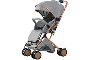 WILLONIN Poussette Canne,Poussette Bebe Légère et Compacte, réglage du dossier jusqu’à la position couchée, S'asseoir/se coucher/pousser/tirer-gris