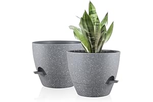Warmplus 25cm Self-Watering Plant Pots Indoor, 2 Pack Large Plastic Plant Pots with Deep Reservior and High Drainage Holes for Indoor Outdoor Plants and Flowers, Grey with Speckles