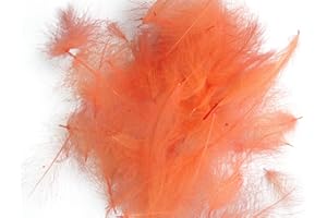 Pechetruite 1g Plumes de CDC (Cul de Canard) Corail pour Montage de Mouche de Peche