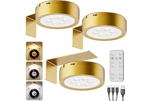 ‎TEDMOS 2600mAh Akku Bilderleuchte, USB Aufladbar Bildbeleuchtung mit Fernbedienung, Bild Beleuchtung Wand Kabellos, Dimmbar Bilderrahmen Licht zum Kleben, Magnetisch LED Spot Akku für Gemälde Vitrine, Gold