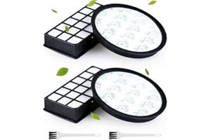 LAOYE 2 Lot Filtres pour Rowenta X-Trem Power Cyclonic RO72xx RO69xx ZR006001 Filtre Aspirateur pour Rowenta Silence Force Cyclonic RO72xx RO7212EA RO7236EA RO7262EA RO7260EA