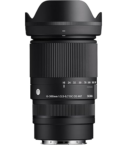 Tamron B016S AF 16-300mm F/3.5 6.3 Di II VC PZD Telephoto Lens for