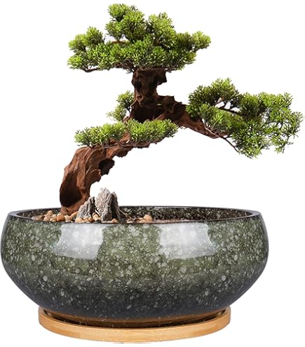 Bonsai - Untersetzer eckig 31,5 x 24,5 cm, grn 53302: Amazon.de: Garten