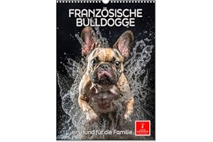 ‎CALVENDO Französische Bulldogge - ein Hund für die Familie (Wandkalender 2024 DIN A3 hoch), CALVENDO Monatskalender