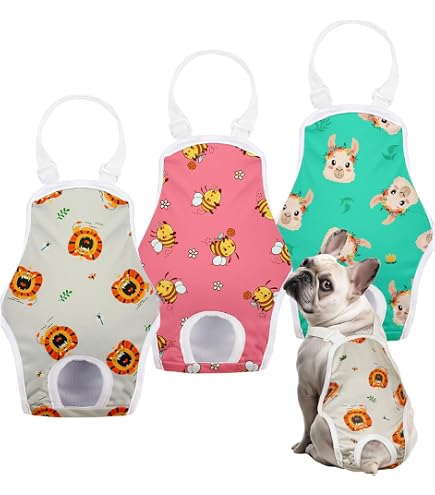 Carnilo - Die Gras-Hundetoilette Für Die Wohnung U Produktbild-Vorschau 7