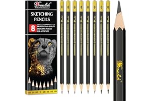 DRAWLISH Sketching Pencils Set of 8 - B, 2B, 4B, 6B, 8B, HB, 2H, 4H - Drawing Pencils with Graphite Lead & Premium Wood are Ideal for Sketching, Shading & Doodling - For Beginners & Professionals