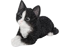 Vivid Arts Posa gattino Pet Pals (bianco e nero)