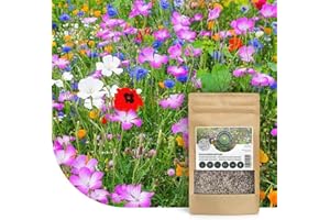 MRS SEEDS & MIXTURES Mélange de fleurs sauvages annuelles et vivaces - 250 g pour 125 m² - 62 variétés de fleurs multicolores riches en nectar - Attire abeilles et papillons