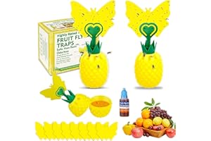 FONWUJIOT 2 Pièces Attrape Moucheron, Anti Moucherons Interieur, Piege à Moucherons avec Autocollant Jaune, Convient à la Cuisine Balcon Jardin