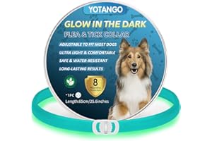 YOTANGO Colliers Anti-Puces pour Chiens, Collier Anti Puces Chien Imperméable, Réglable Lumineux Collier Anti Puces pour Chien 8 Mois de Protection Naturelle Anti Tique pour Chiots et Grands Chiens-Bleu Clair