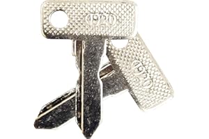 OUZIGRT Club Car Ds/Precedent (1982+) Gas/Electric Golf Cart Replacement Ignition Key(2)