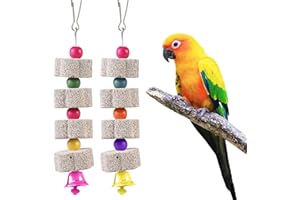 AETHERAURORA 2 Pièces Jouet à Mâcher pour Oiseaux, Pierre Minérale avec Bec D'oiseau, Oiseaux à Mâcher Jouets Minéral, Pierre de Calcium avec Cloches, pour Perruches, Perroquets, Inséparables, Chinchillas, Lapins