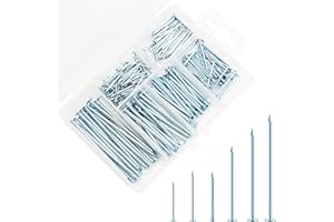 HEILOK Pack of 250 Steel Nails Assortment, 6 Sizes Nails Assortment Galvanised Nails for Hanging Pictures and Woodworking, Concrete Steel Nails, Wire Pins Nails with Storage Box for DIY, Crafts