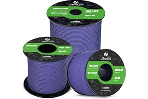 Abma Cord Paracord 2mm 100% Nylon Corda 30m Tipo I Corda da Paracadute a 1 Filo - Max. 45 kg - Viola