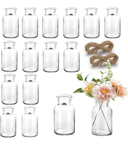 Mini Vase En Verre Pour Centres De Table – 12 Pcs Transparents Petits