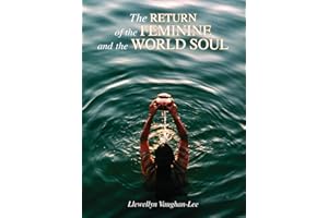 Return of the Feminine and the World Soul: A Collection of Writings and Transcribed Talks