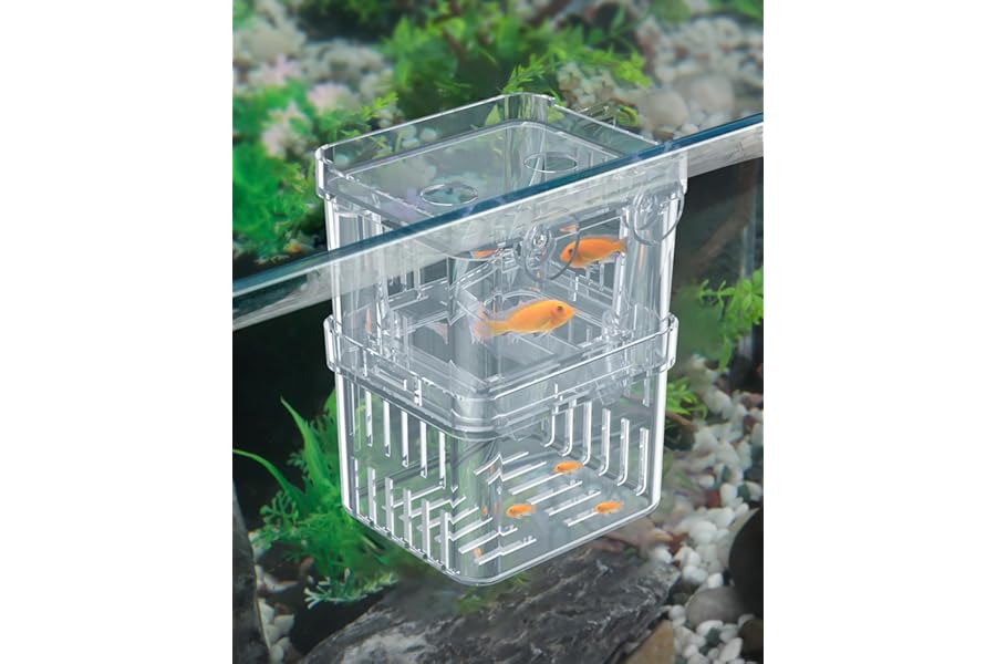 Pawfly Aquarium Fish Breeding Box Transparent Plastic Breeder Box for Fish Tank Fry Hatchery Incubator Hatching Box for Baby Fish Betta Clownfish Large Isolation Box for Aggressive Fish Guppy