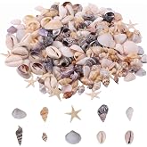 Vexnaro 211 Pieces Shells for Crafts, Mixed Natural Seashells without Drilling, Shell Decoration for Vase Fillers, Aquariums,