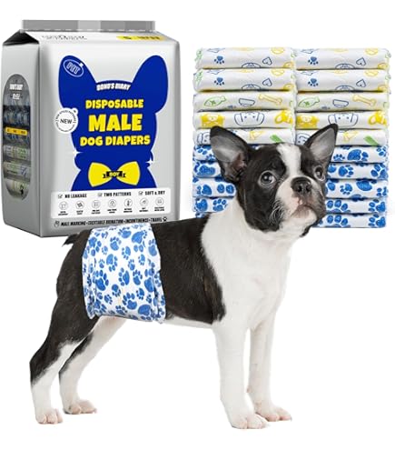 Pet Soft Hundeluiers voor mannetjes, wegwerp, reuen, 20 stuks, super absorberende luiers voor puppy's en incontinentie, luierwraps met nattigheidsindicator (L-20 telling Pet Soft Hundeluiers voor mannetjes, wegwerp, reuen, 20 stuks, super absorberende luiers voor puppy's en incontinentie, luierwraps met nattigheidsindicator (L-20 telling