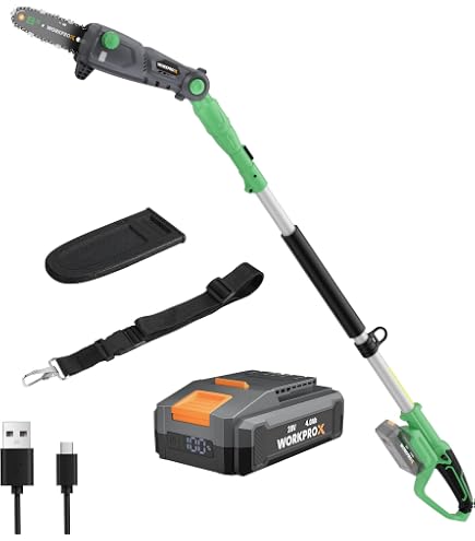 Élagueuse Sur Perche Sans Fil 20V - Télescopique Jusqu'à 3m | Batterie 2.5Ah Et Lame 24cm
