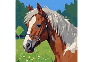 HKLIOPU Paint by Numbers for Adults,DIY Canvas Oil Painting Kit Horse for Kids or Beginner with Paint Brushes Acrylic Pigment for Gifts Home Wall Decor 16x16inch