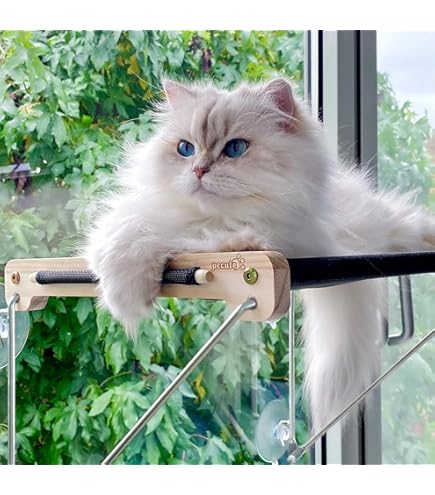 Flokoo - Kattenmand Voor Aan Het Raam - Bruin - Extra Stevige Zuignappen