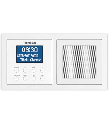 RDS Flush-mounted Radio With A Speaker Colour Aluminium (including E2 - View #4