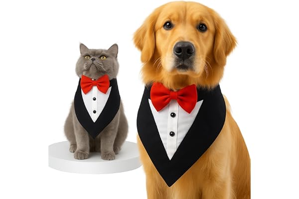 Pawsindia Tuxedo Bandana for Dogs, Crafted from Premium Fabric to Ensuring Proper Air Circulation and Adding a Touch of Trendy Style (Black, Cat Size)