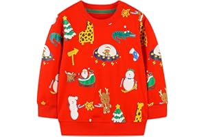 Tokeya Felpa per Bambino Ragazzo Cotone Manica Lunga Maglione Dinosauro Stampato Ricamo Pullover, Senza Cappuccio Girocollo Casual Moda Maglietta Top Bambini Abbigliamento 2-7 Anni