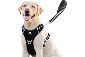 TUFFDOG Easy-Fit Dog Harness Large Dog - Fast Release Neck Clip, Premium Padded Reflective No Pull Harness with Control Handle, Adjustable Step-in Dog Vest Plus Free Matching Lead (L, Raven Black)