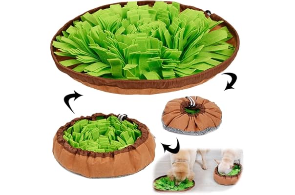 best interactive toy