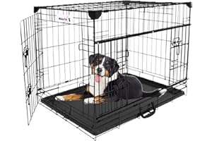 MaxxPet Cage pour Chien - Caisse Transport Chien - Pliable en Métal - Cage Chien Interieur - 2 Portes - Convient pour Le Transport - 78x48x56 cm - Noir