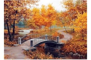 DEMIAWAKINGUK Autunno 5D DIY Diamond Painting Kit Completo Paesaggi Pittura Diamante 5D Fai da Te Pittura Mosaico 5D Kit Punto Croce Diamond Decorazione da Parete 40x30cm