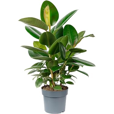 weihnachtsbäume künstlich kaufen Künstlicher Weihnachtsbaum Tannenbaum grün künstlich 180 cm täuschend  naturgetreuer Tannenbaum (PREMIUM) main image 1