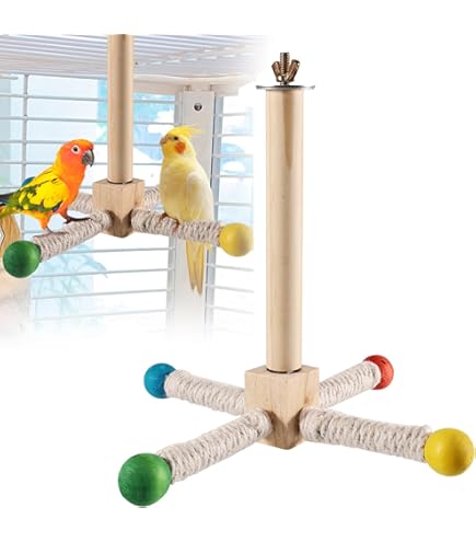 Vogelgaleria® Vogelspeelplaats voor parkieten, cockatiels, natuurlijk hout, speelplaats om op te hangen, vogelschommel