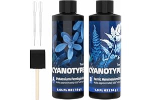 TENEE Complete Cyanotype Kit, Cyanotype Sensitizer Set for Sun Printing, Solar Sun Print Kit for Photographic Process Projects on Fabric and Paper, Ideal Blue Prints Sensitizer for Beginners & Artists