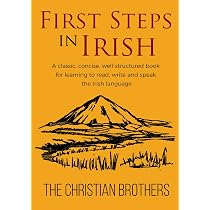 First Steps in Irish: A classic, succinct, book for learning to