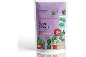 Florasoul® Engrais Plantes Vertes Intérieur pour Croissance, Floraison et Vitalité ODEUR NEUTRE Engrais Organique Vegan Certifié Potager Interieur 100% Soluble 500g/350l