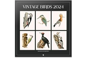 Grupo Erik Vintage Birds Wall Calendar 2024 12" x 12" | 12 Month Planner | Square Wall Calendar 2024 | Family Planner Calendar 2024 | Bird Calendar 2024 | + 4 Bonus Months