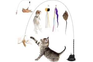 GMMG Jouet Interactif pour Chat Intérieur - Ventouse, Canne à Pêche, Baguette - Jeux pour Chats