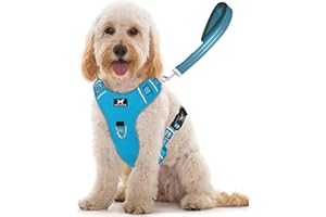 TUFFDOG Easy-Fit Dog Harness Medium Dog - Fast Release Neck Clip, Premium Padded Reflective No Pull Harness with Control Handle, Adjustable Step-in Dog Vest Plus Free Matching Lead (M, Sky Blue)