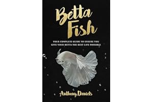 Betta Fish: Your Complete Guide to Ensure You Give Your Betta the Best Life Possible