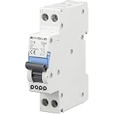 POPP&reg; Industrial Magnetic Thermal Automatic Switch CURVE C DPN SERIES MSN81NC 6A 10A 16A 20A 25A 32A 40A (DPN, 16A)