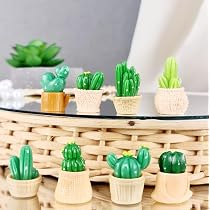 Buy SATYAM KRAFT 1 Set (8 pcs) Cactus Miniature Set | Gift for Him ...